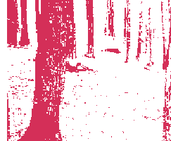 nutundgrat Möbeldesign nut+grat Holz