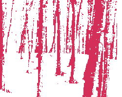 nutundgrat Möbeldesign nut+grat Holz